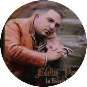 Elvin Perez - Musical artist