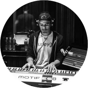 Elvio Fernandes - Musician