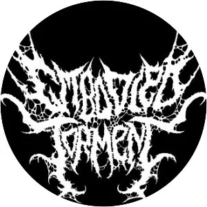 Embodied Torment - Musical group