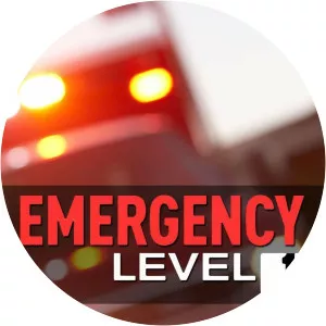 Emergency Level OneSince 2009