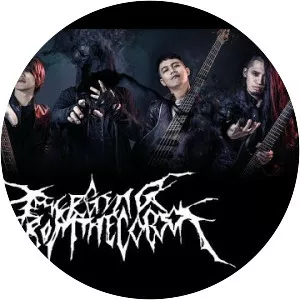 EMERGING FROM THE COCOON