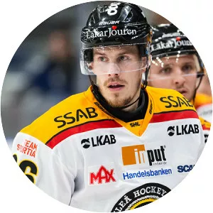 Emil Larsson Musician