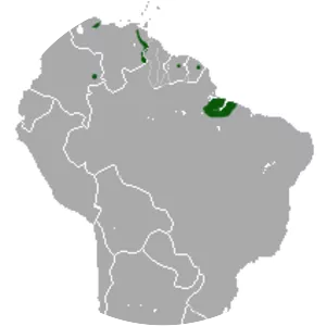 Emilia's gracile opossum