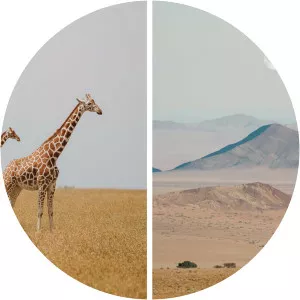 Emilie Ristevski - Author