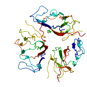 EMILIN1 - Protein