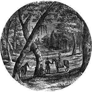 Emily Geiger - Courier