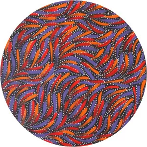 Emily Kame Kngwarreye