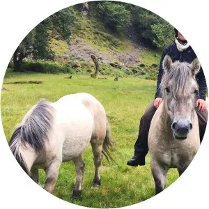 Emma Massingale: The HighlandsSince 2020