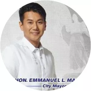 Emmanuel Maliksi - Politician