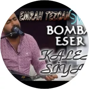 Emrah Tezcan - Musical artist
