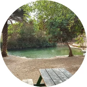 ‘En Migdal - Spring in Israel