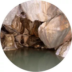 ‘En Namer - Spring in Israel