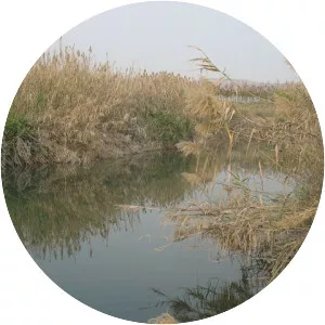 ‘En Nezem - Spring in Israel