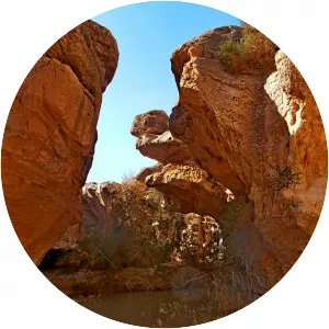 ‘En Yorqe‘am - Spring in Israel