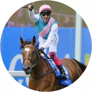 Enable