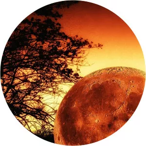 End-Time DelusionsSince 2006