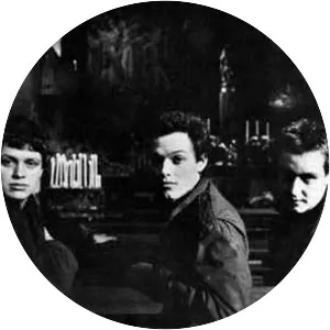 Ende Shneafliet - Musical group