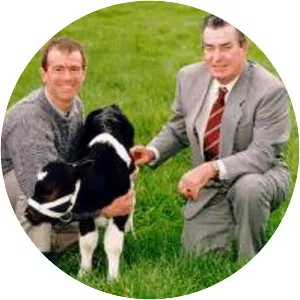 Enderby Island cattle