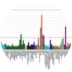 Endothelin B receptor