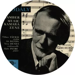 Endre Petri Musician