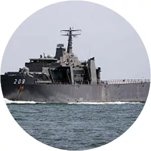 Endurance-class landing platform dock