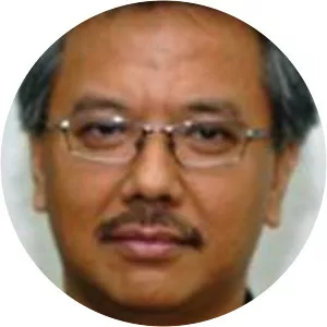 Endy Bayuni - Journalist