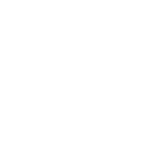 enel distribucion chile