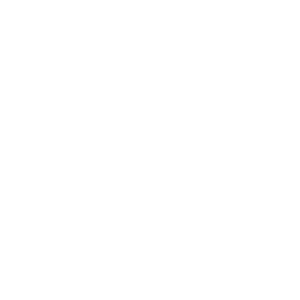 Enel Green Power - Company