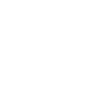 Enel - Natural gas distribution company