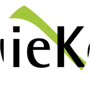 Energiekontor - Company