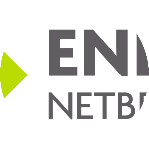 Enexis Netbeheer B. V. - Company