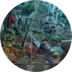 Enigmatis: The Ghosts of Maple Creek