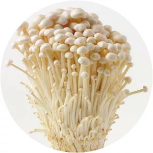 Enokitake
