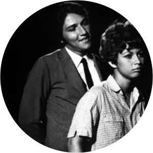 Enquanto Houver Estrelas - TV program