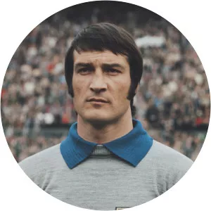 Enrico Albertosi - Italian footballer