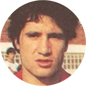 Enrique Magdaleno - Spanish footballer