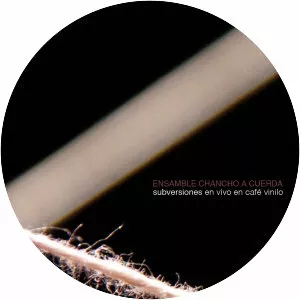 Ensamble Chancho a Cuerda