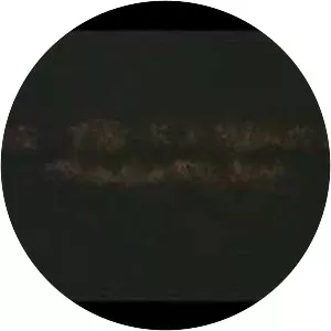 Enteng Kabisote 4: Okay Ka Fairy Ko The