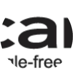 Enterprise Car Sales