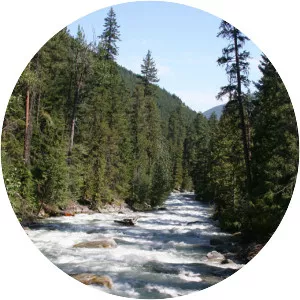 Entiat River - Tributary in Washington