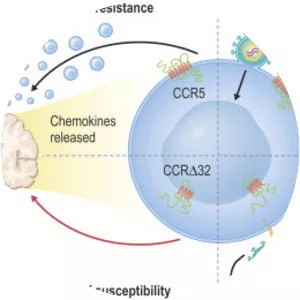 Envelope glycoprotein GP120 - 