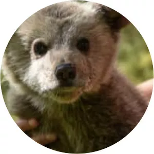 Environmental Centre ARCTUROS