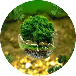 Environmental engineering - Discipline