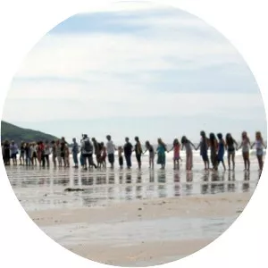 Environmental Law Foundation