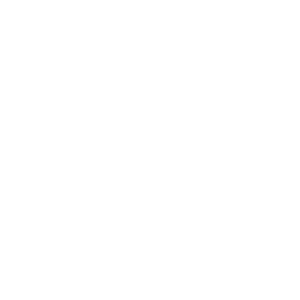 Environmental Solutions Group