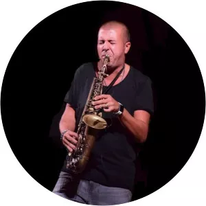 Enzo Anastasio - Musician