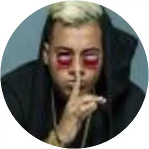 Enzo La Melodia Secreta - Musical artist