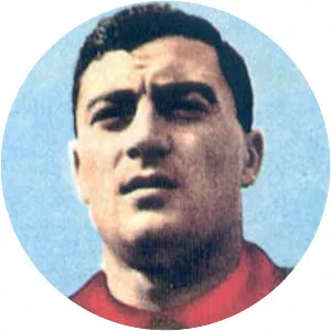 Enzo Matteucci