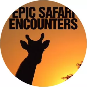 Epic Safari EncountersSince 2018 - TV program