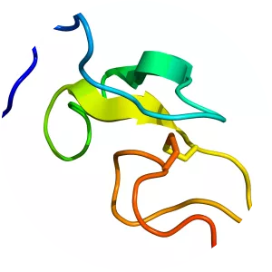 Epidermal growth factor - 